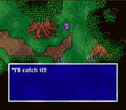 walk7catchit.jpg (5505 bytes)