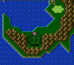 walk7forest.jpg (7747 bytes)