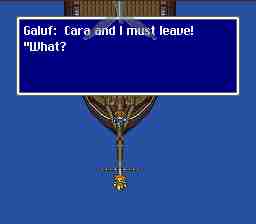 walk9galufleave.jpg (3968 bytes)