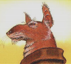 Splinter by A.C. Farley