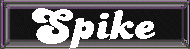 Spike