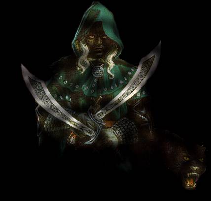 Drizzt Do'Urden