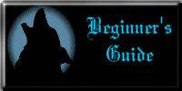 Beginner