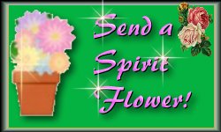 Flower Garden