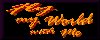 I Support Fly My World