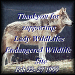 Delightful gift from Lady Wildlife