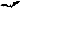 anibat2.gif (4106 bytes)