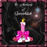 memofqueen bitch.jpg (11300 bytes)