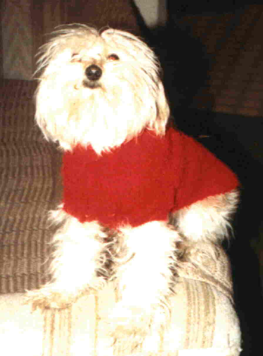 pep1.jpg (35906 bytes)