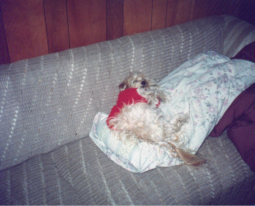 peppie2.jpg (125192 bytes)