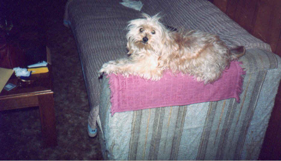 peppie4.jpg (105178 bytes)