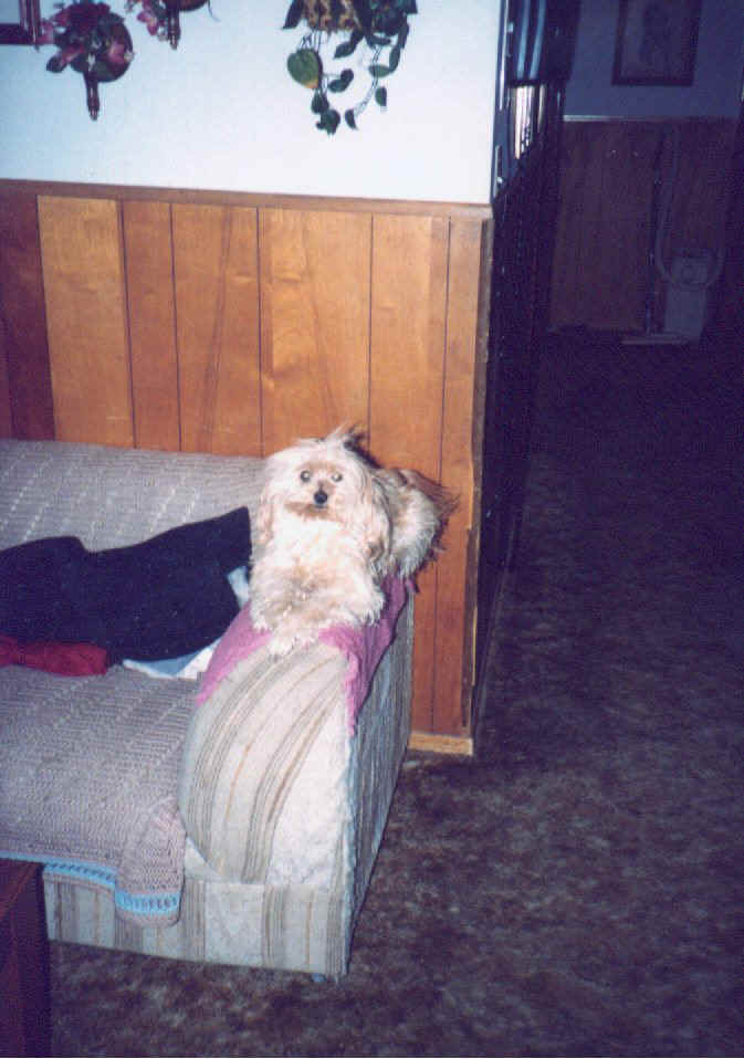 peppie5.jpg (125665 bytes)