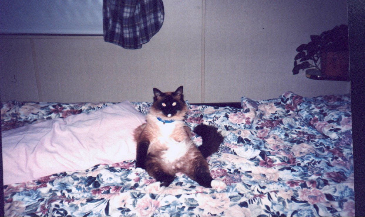 sui2.jpg (188422 bytes)