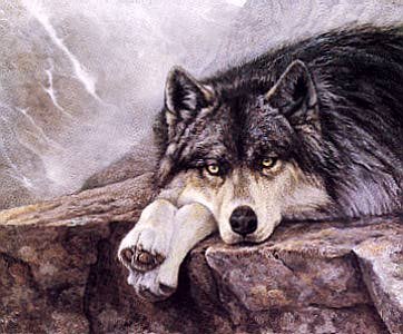wolf_art12.jpg (36484 bytes)
