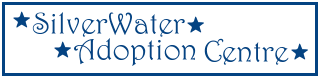 Welcome to SilverWater Dragon Adoptions