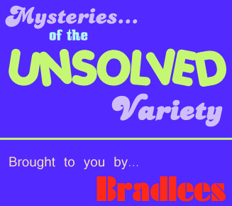 The LOGO was brought to you by Bradlees. Not the segment.