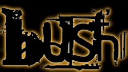 BUSH Logo