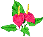 Anthur.gif (5258 bytes)