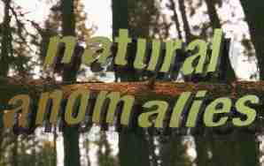 Natural Anomalies