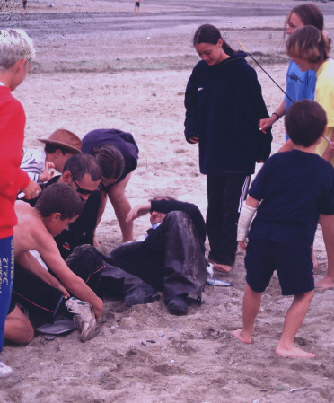 richard on beach