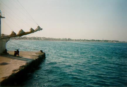 16.jpg (18507 bytes)