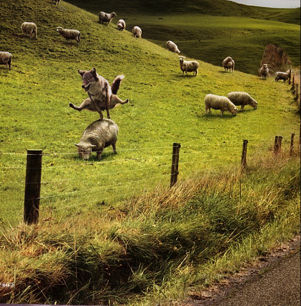 V�r i �sterdalen.jpg