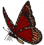 butterfly1.gif (4536 bytes)
