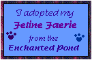 felinecert.gif (2908 bytes)