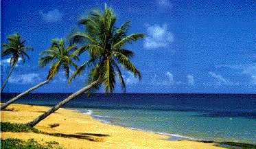 Pi&ntilde;ones Beach Image