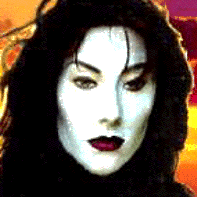 an ocean shores washington sunset