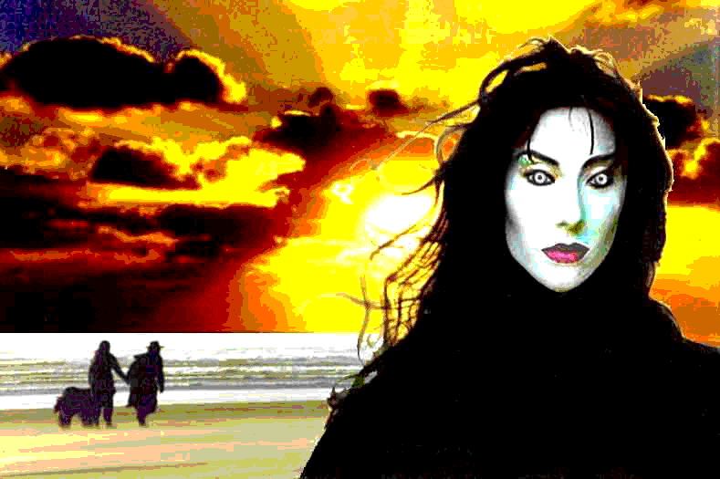 an ocean shores washington sunset