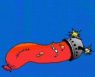 8.gif (361083 bytes)