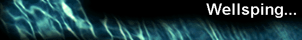  Wellsping... 