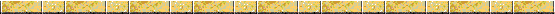 Bar20.gif (2307 bytes)