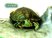 Snot prior to launch