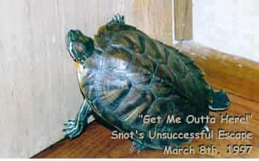 Snot Attempting to 86