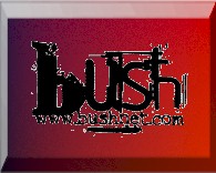 bush.jpg (12694 bytes)