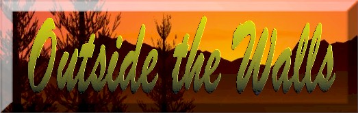 outsidelogo.jpg (35600 bytes)