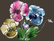 Layers/Animation Result