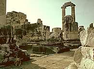 Didima.jpg (7931 bytes)