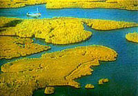 dalyan2.jpg (15546 bytes)