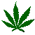 leafspin420.gif - 14987 Bytes