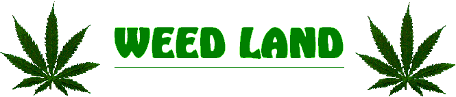 untitled.bmp - 95934 Bytes