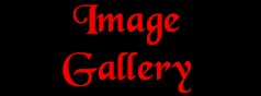 Image Gallery