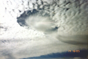 crane1.jpg (27917 bytes)