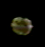 dock0i.jpg (3383 bytes)