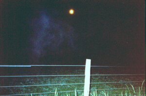 farm3.jpg (311262 bytes)