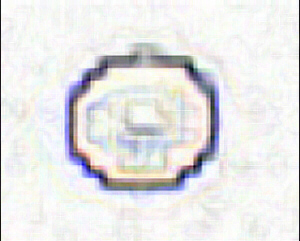 ua02002e.jpg (44250 bytes)