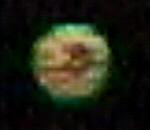 ufo1d.jpg (36669 bytes)