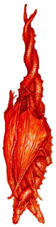 Two Red Dragons Entwined